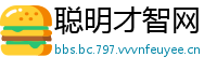 聪明才智网